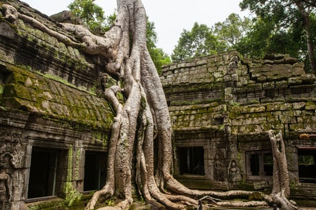 Temple Kmer dans le complexe d'Angkor au Cambodge