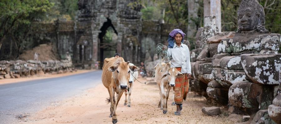 9 particularités sur le Cambodge