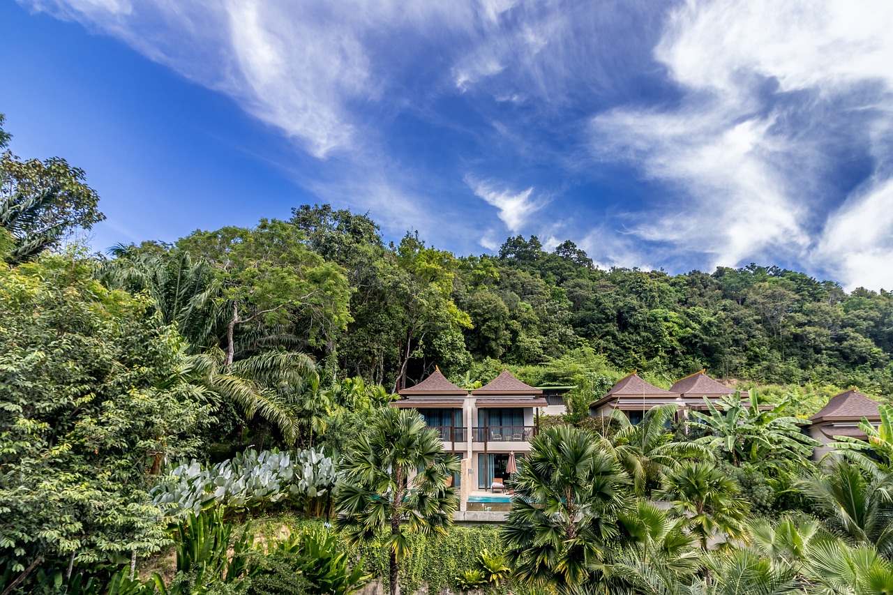 Hotel de charme dans un foret en thailande avec odasie