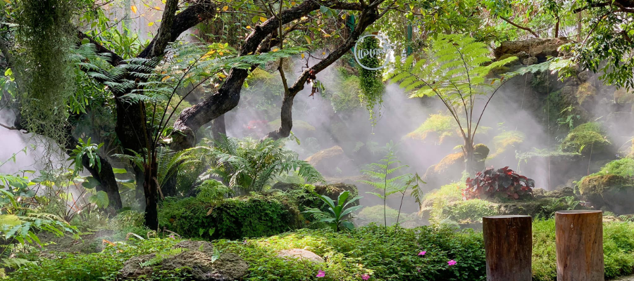 Le café Lae Cher de Cafe, à Bangkok