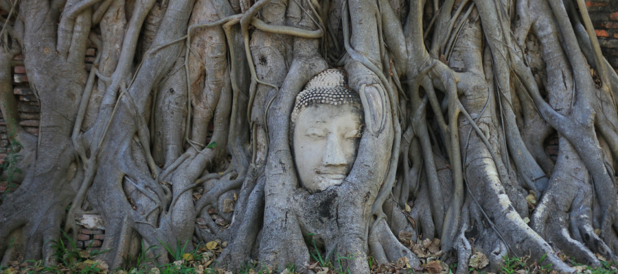 Wat Mahathat, Ayutthaya, Thaïlande