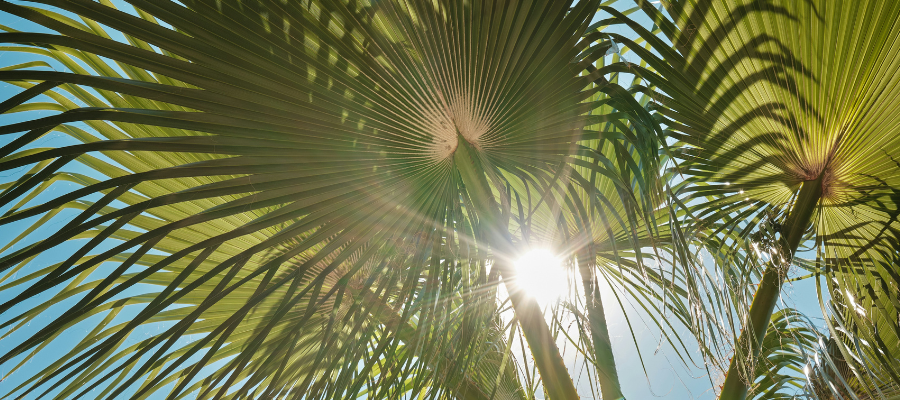 Le soleil est essentiel pour profiter des vacances mais peut etre redoutable contre la chaleur 